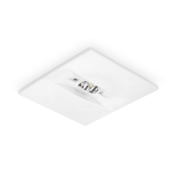 Emergency Lighting Luminaire OWA FL SQR